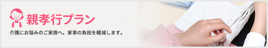親孝行プラン 親孝行プラン