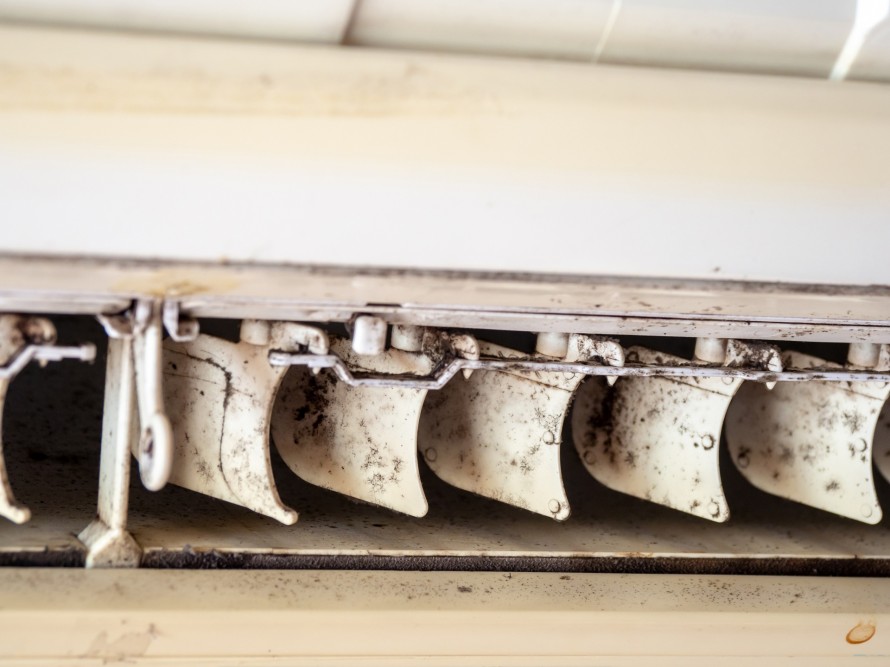 02_AdobeStock_215995587